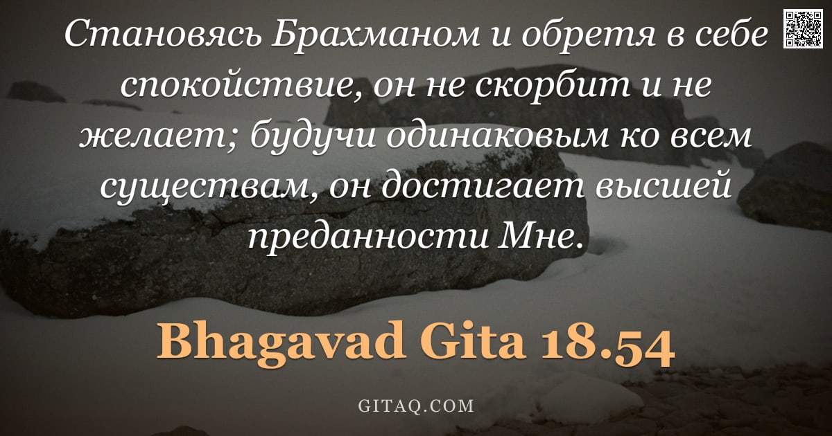 Бхагавад-гита 18.54 — "Становясь Брахманом и обретя в себе спокойствие, он не скорбит и не желает; будучи одинаковым ко все"