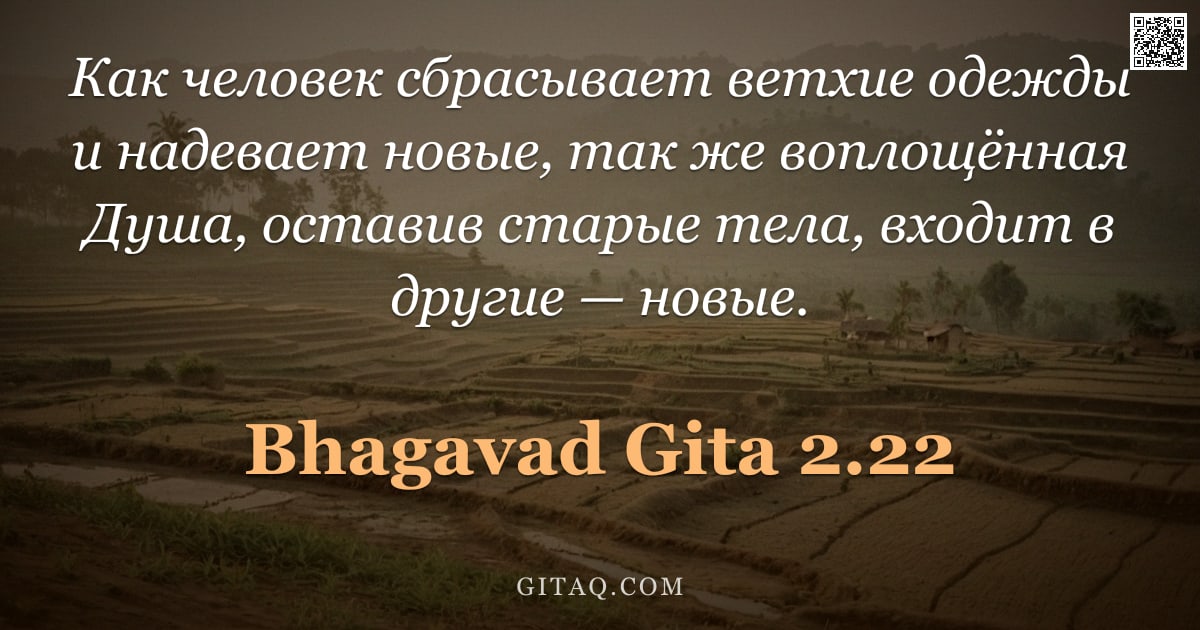 Бхагавад-гита 2.22 — "Как человек сбрасывает ветхие одежды и надевает новые, так же воплощённая Душа, оставив старые тела,"