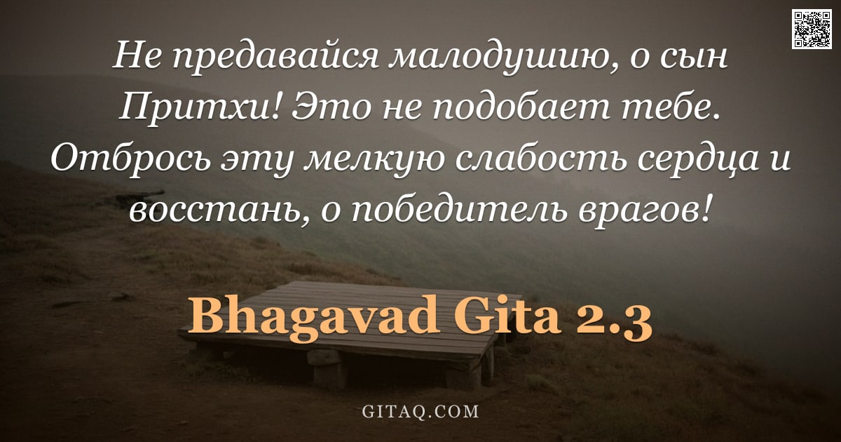 Бхагавад-гита 2.3 — "Не предавайся малодушию, о сын Притхи! Это не подобает тебе. Отбрось эту мелкую слабость сердца и во"