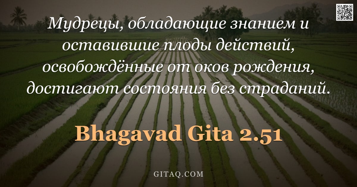 Бхагавад-гита 2.51 — "Мудрецы, обладающие знанием и оставившие плоды действий, освобождённые от оков рождения, достигают с"