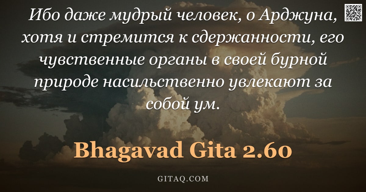 Бхагавад-гита 2.60 — "Ибо даже мудрый человек, о Арджуна, хотя и стремится к сдержанности, его чувственные органы в своей "