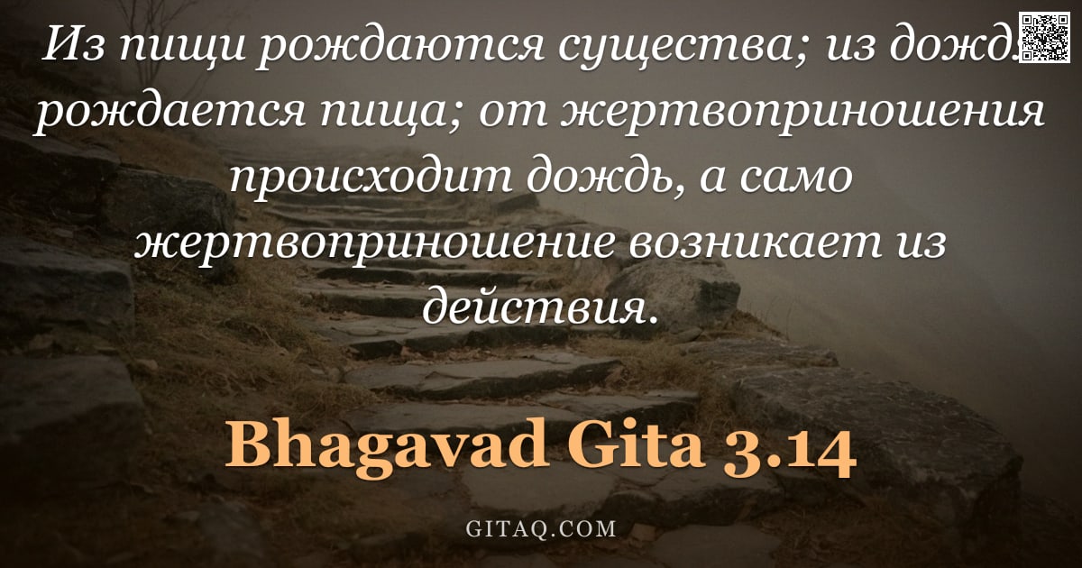 Бхагавад-гита 3.14 — "Из пищи рождаются существа; из дождя рождается пища; от жертвоприношения происходит дождь, а само же"