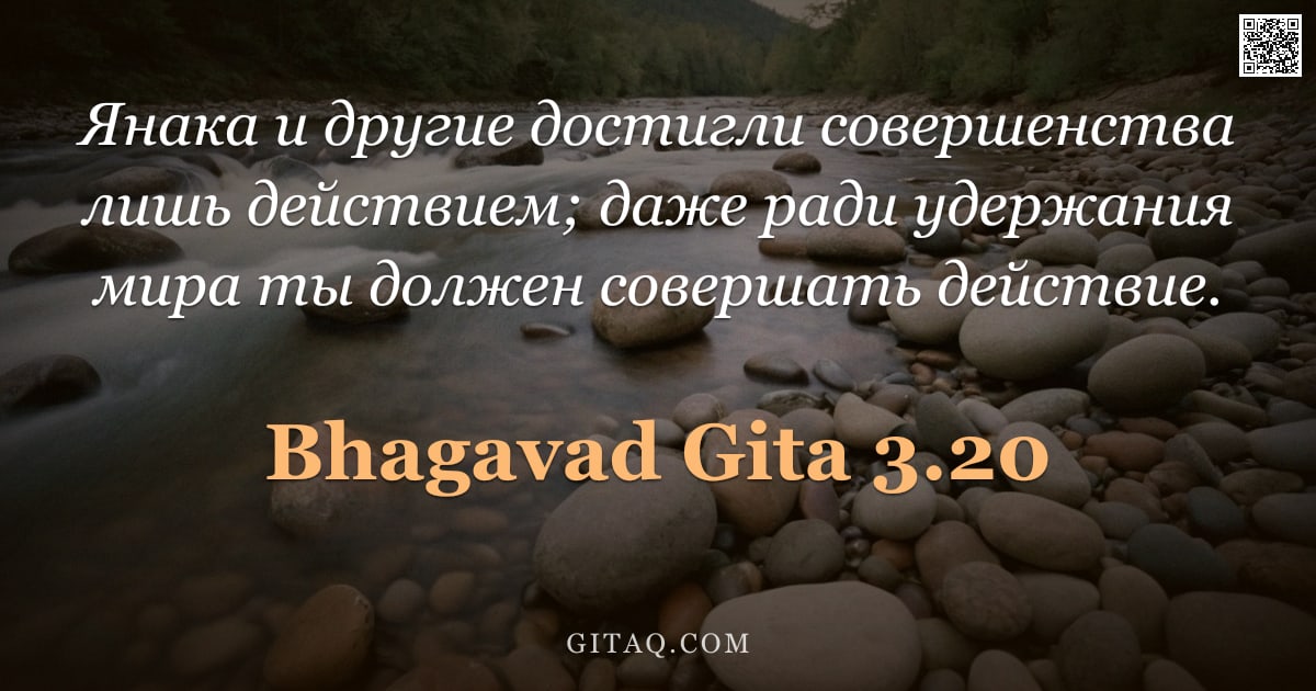 Бхагавад-гита 3.20 — "Янака и другие достигли совершенства лишь действием; даже ради удержания мира ты должен совершать де"