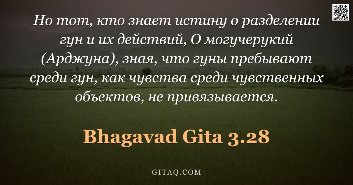 Бхагавад-гита 3.28 — "Но тот, кто знает истину о разделении гун и их действий, О могучерукий (Арджуна), зная, что гуны пре"