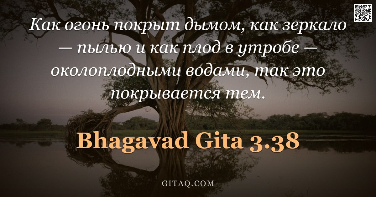 Бхагавад-гита 3.38 — "Как огонь покрыт дымом, как зеркало — пылью и как плод в утробе — околоплодными водами, так это покр"