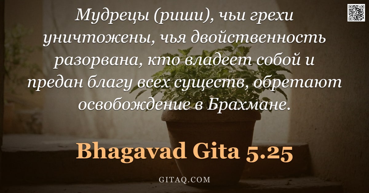 Бхагавад-гита 5.25 — "Мудрецы (риши), чьи грехи уничтожены, чья двойственность разорвана, кто владеет собой и предан благу"