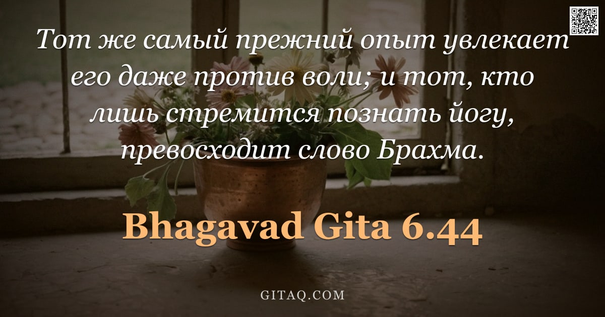 Бхагавад-гита 6.44 — "Тот же самый прежний опыт увлекает его даже против воли; и тот, кто лишь стремится познать йогу, пре"