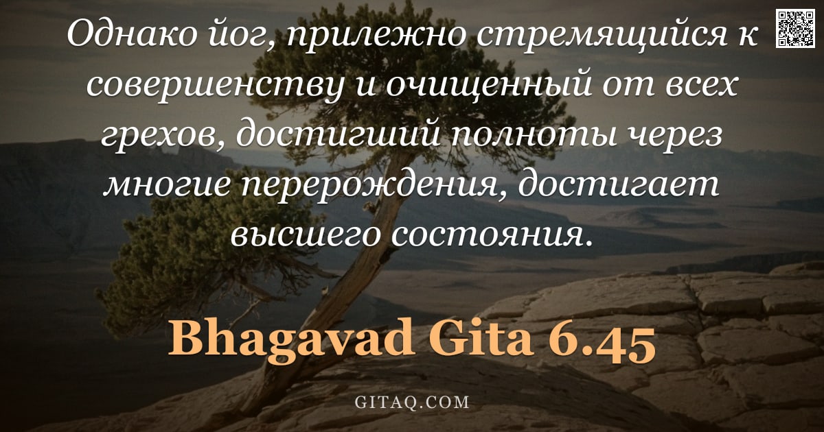 Бхагавад-гита 6.45 — "Однако йог, прилежно стремящийся к совершенству и очищенный от всех грехов, достигший полноты через "