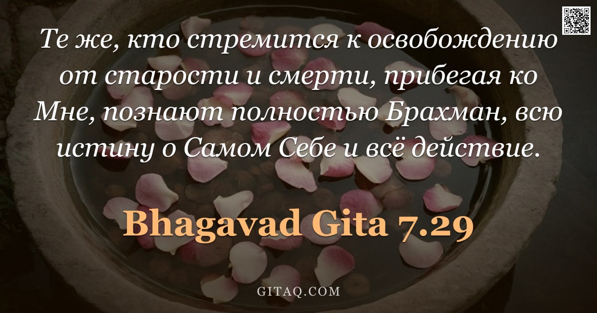 Бхагавад-гита 7.29 — "Те же, кто стремится к освобождению от старости и смерти, прибегая ко Мне, познают полностью Брахман"