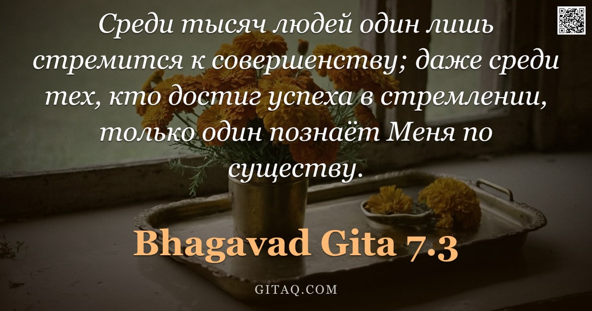 Бхагавад-гита 7.3 — "Среди тысяч людей один лишь стремится к совершенству; даже среди тех, кто достиг успеха в стремлении"
