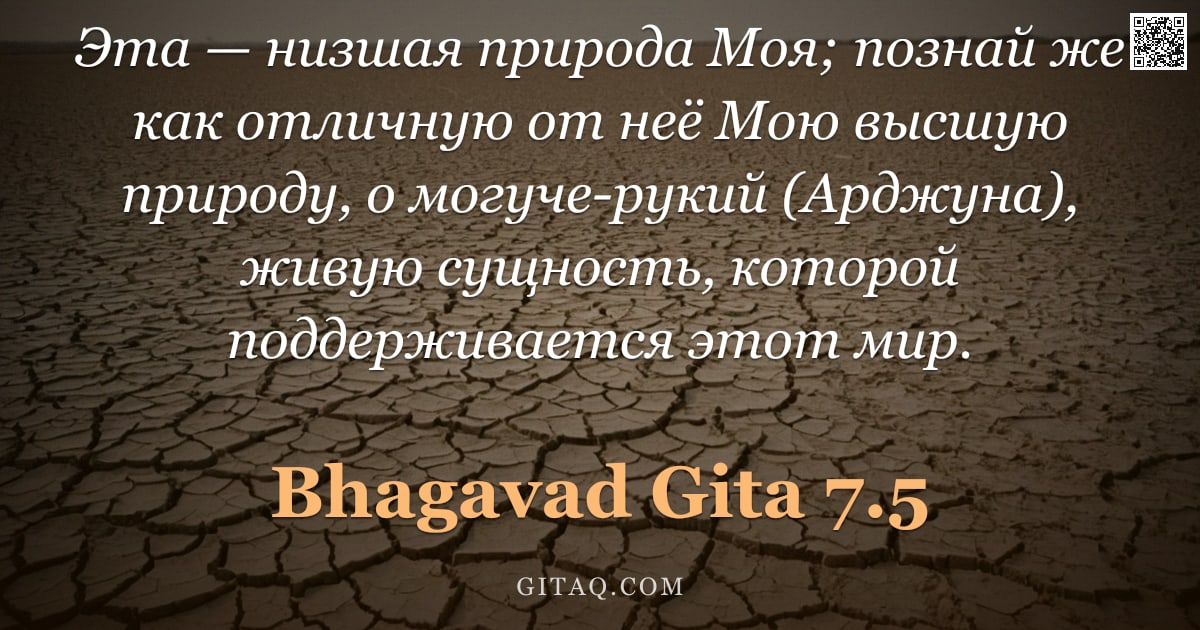 Бхагавад-гита 7.5 — "Эта — низшая природа Моя; познай же как отличную от неё Мою высшую природу, о могуче-рукий (Арджуна)"