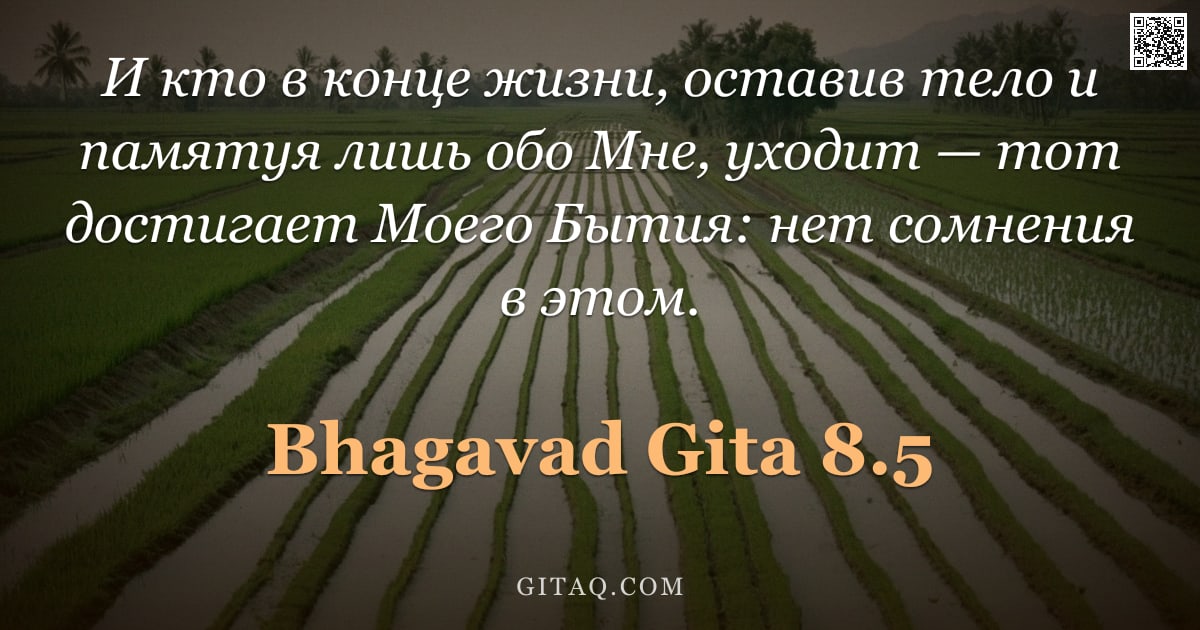 Бхагавад-гита 8.5 — "И кто в конце жизни, оставив тело и памятуя лишь обо Мне, уходит — тот достигает Моего Бытия: нет со"