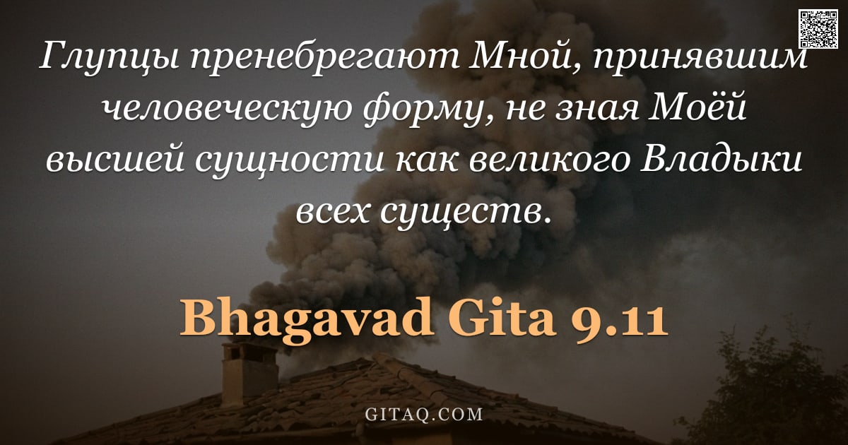Бхагавад-гита 9.11 — "Глупцы пренебрегают Мной, принявшим человеческую форму, не зная Моёй высшей сущности как великого Вл"