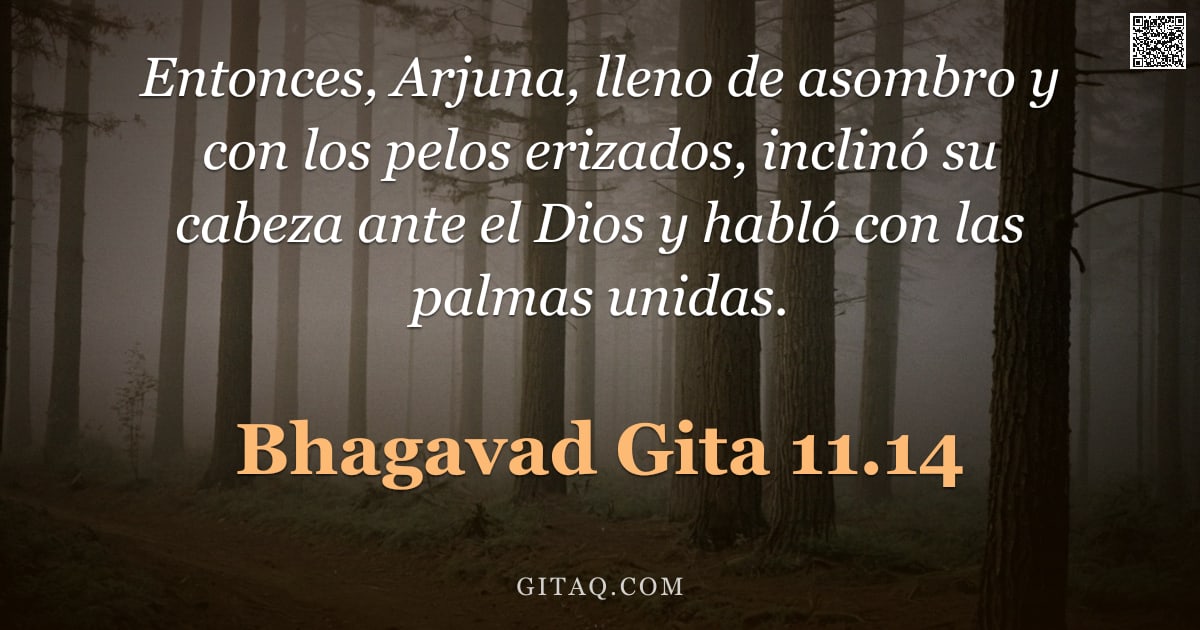 Bhagavad Gita 11.14 — "Entonces, Arjuna, lleno de asombro y con los pelos erizados, inclinó su cabeza ante el Dios y habló "