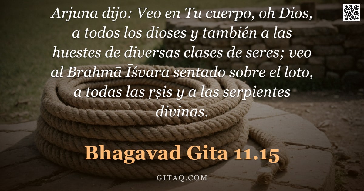 Bhagavad Gita 11.15 — "Arjuna dijo: Veo en Tu cuerpo, oh Dios, a todos los dioses y también a las huestes de diversas clase"