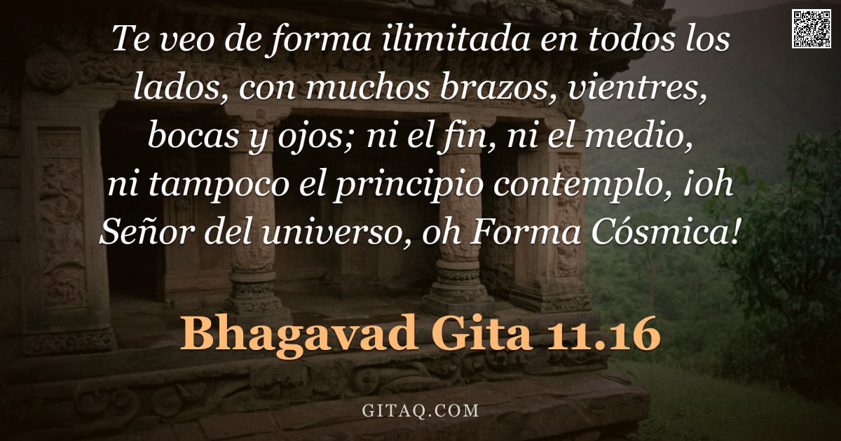 Bhagavad Gita 11.16 — "Te veo de forma ilimitada en todos los lados, con muchos brazos, vientres, bocas y ojos; ni el fin, "