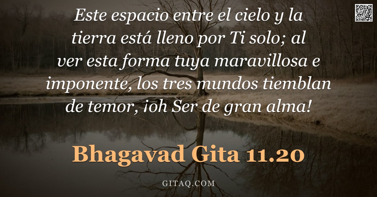 Bhagavad Gita 11.20 — "Este espacio entre el cielo y la tierra está lleno por Ti solo; al ver esta forma tuya maravillosa e"