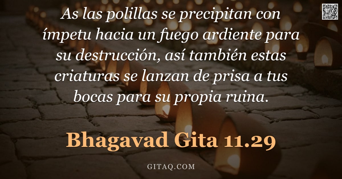 Bhagavad Gita 11.29 — "As las polillas se precipitan con ímpetu hacia un fuego ardiente para su destrucción, así también es"