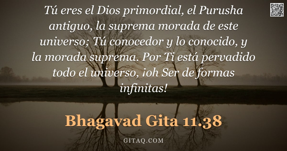 Bhagavad Gita 11.38 — "Tú eres el Dios primordial, el Purusha antiguo, la suprema morada de este universo; Tú conocedor y l"
