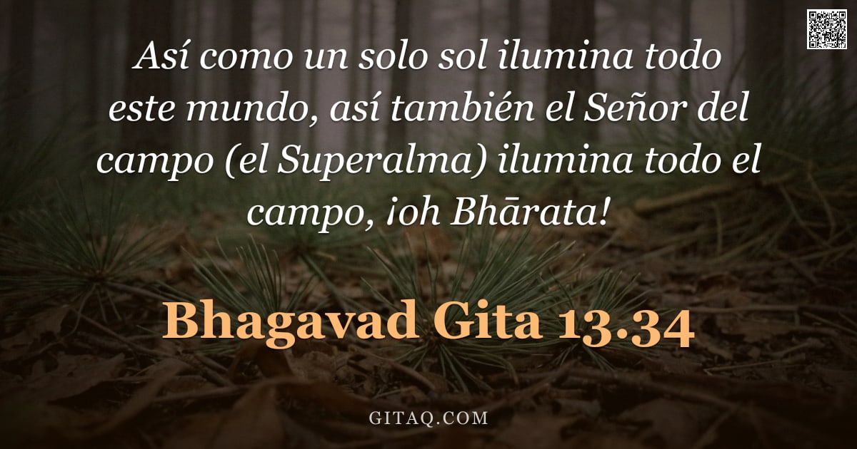 Bhagavad Gita 13.34 — "Así como un solo sol ilumina todo este mundo, así también el Señor del campo (el Superalma) ilumina "