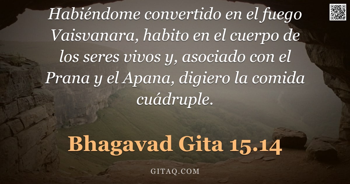 Bhagavad Gita 15.14 — "Habiéndome convertido en el fuego Vaisvanara, habito en el cuerpo de los seres vivos y, asociado con"