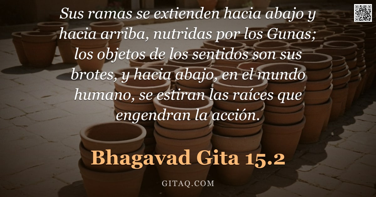 Bhagavad Gita 15.2 — "Sus ramas se extienden hacia abajo y hacia arriba, nutridas por los Gunas; los objetos de los sentid"