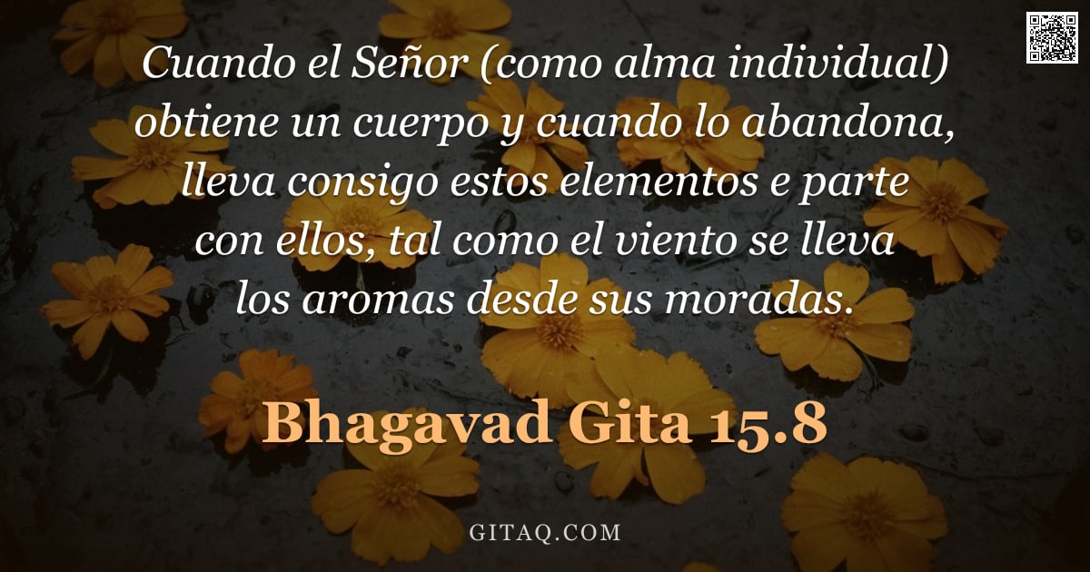 Bhagavad Gita 15.8 — "Cuando el Señor (como alma individual) obtiene un cuerpo y cuando lo abandona, lleva consigo estos e"