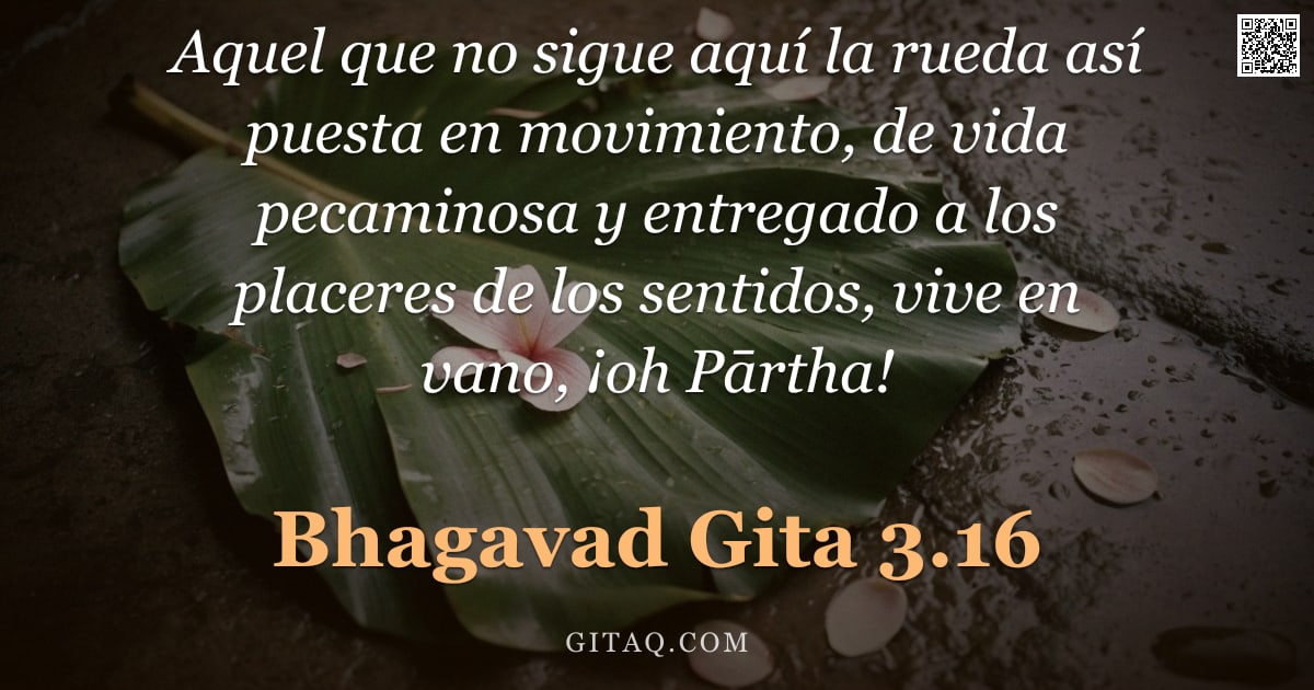 Bhagavad Gita 3.16 — "Aquel que no sigue aquí la rueda así puesta en movimiento, de vida pecaminosa y entregado a los plac"