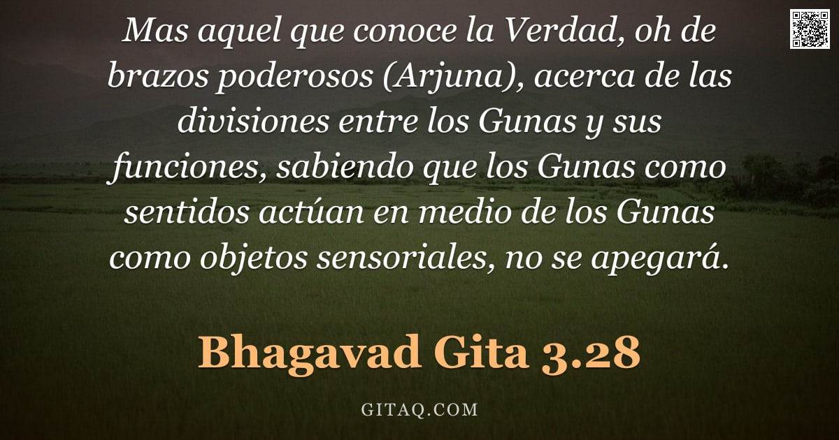 Bhagavad Gita 3.28 — "Mas aquel que conoce la Verdad, oh de brazos poderosos (Arjuna), acerca de las divisiones entre los "