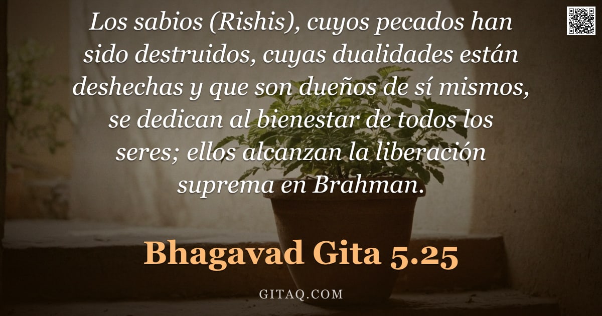 Bhagavad Gita 5.25 — "Los sabios (Rishis), cuyos pecados han sido destruidos, cuyas dualidades están deshechas y que son d"