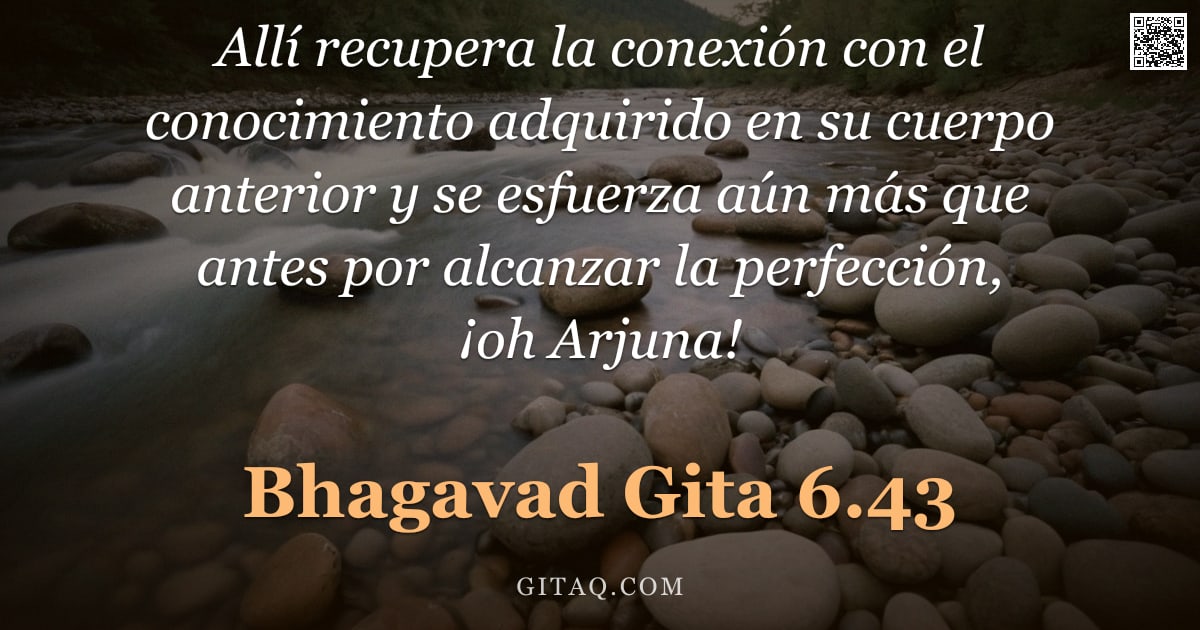 Bhagavad Gita 6.43 — "Allí recupera la conexión con el conocimiento adquirido en su cuerpo anterior y se esfuerza aún más "
