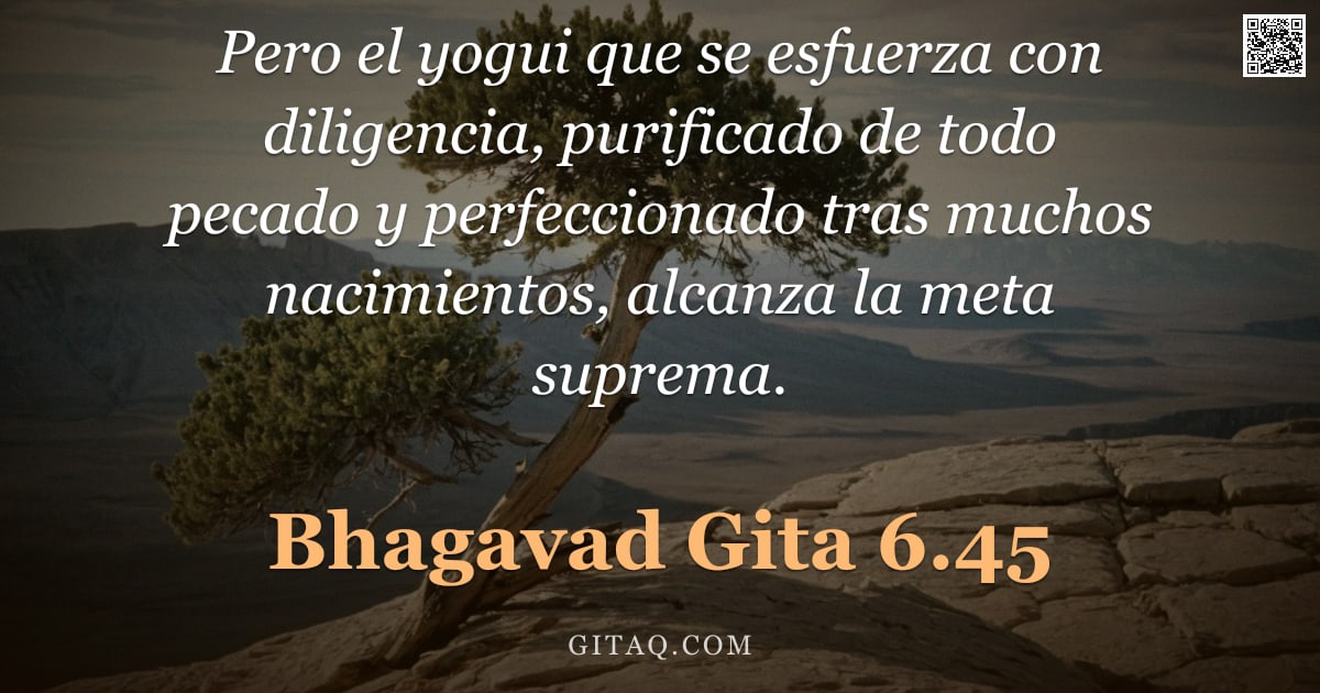 Bhagavad Gita 6.45 — "Pero el yogui que se esfuerza con diligencia, purificado de todo pecado y perfeccionado tras muchos "