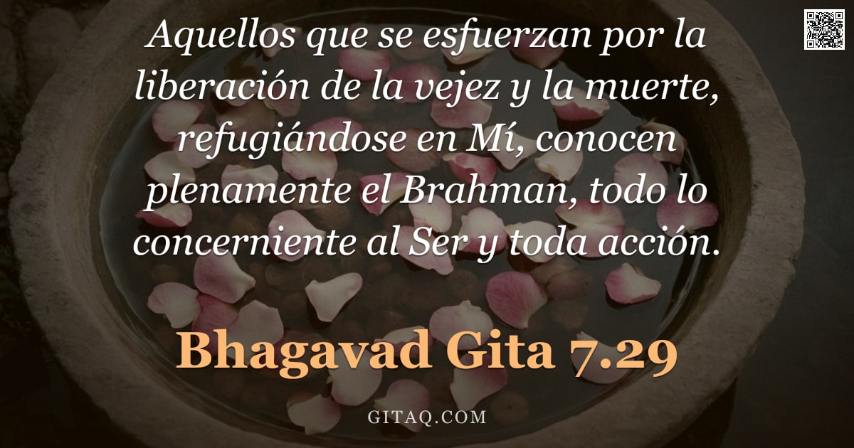 Bhagavad Gita 7.29 — "Aquellos que se esfuerzan por la liberación de la vejez y la muerte, refugiándose en Mí, conocen ple"