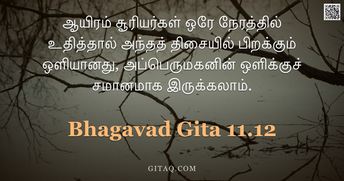 பகவத் கீதை 11.12 — "ஆயிரம் சூரியர்கள் ஒரே நேரத்தில் உதித்தால் அந்தத் திசையில் பிறக்கும் ஒளியானது, அப்பெருமகனின் ஒளிக்குச"