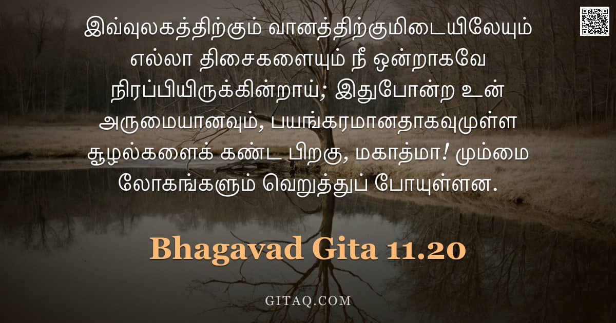 பகவத் கீதை 11.20 — "இவ்வுலகத்திற்கும் வானத்திற்குமிடையிலேயும் எல்லா திசைகளையும் நீ ஒன்றாகவே நிரப்பியிருக்கின்றாய்; இதுபோ"