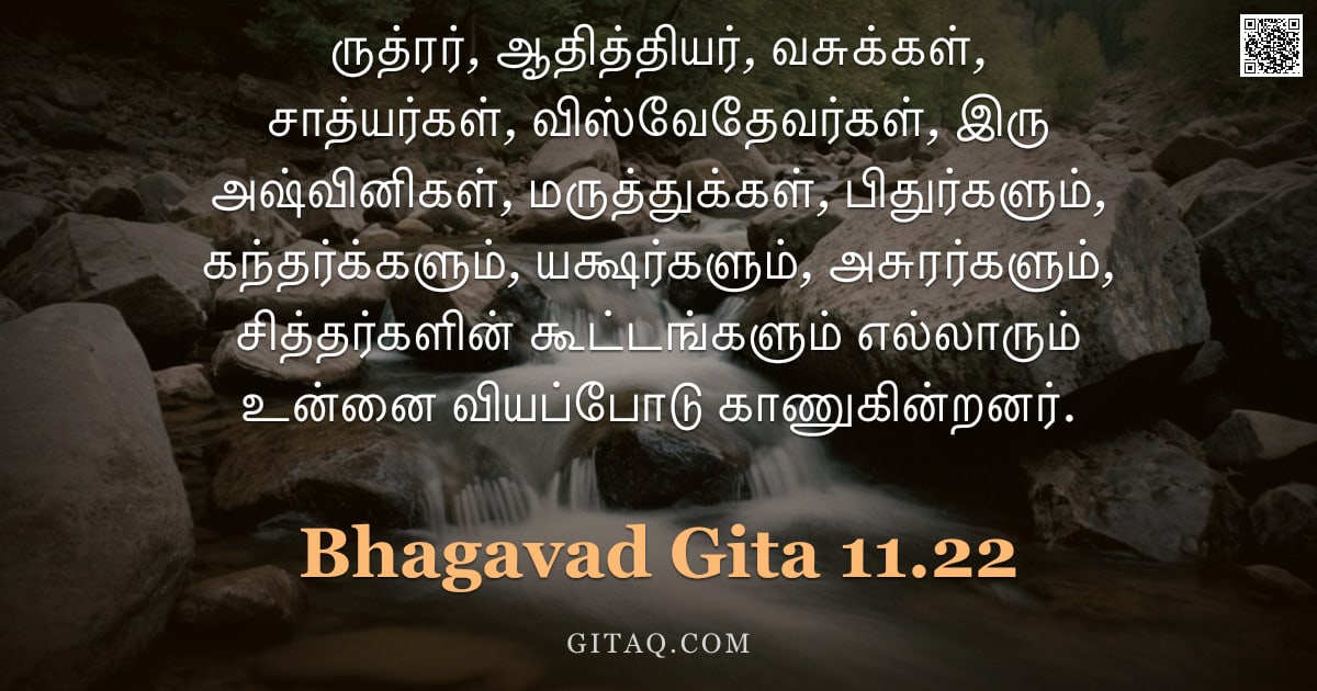 பகவத் கீதை 11.22 — "ருத்ரர், ஆதித்தியர், வசுக்கள், சாத்யர்கள், விஸ்வேதேவர்கள், இரு அஷ்வினிகள், மருத்துக்கள், பிதுர்களும்"