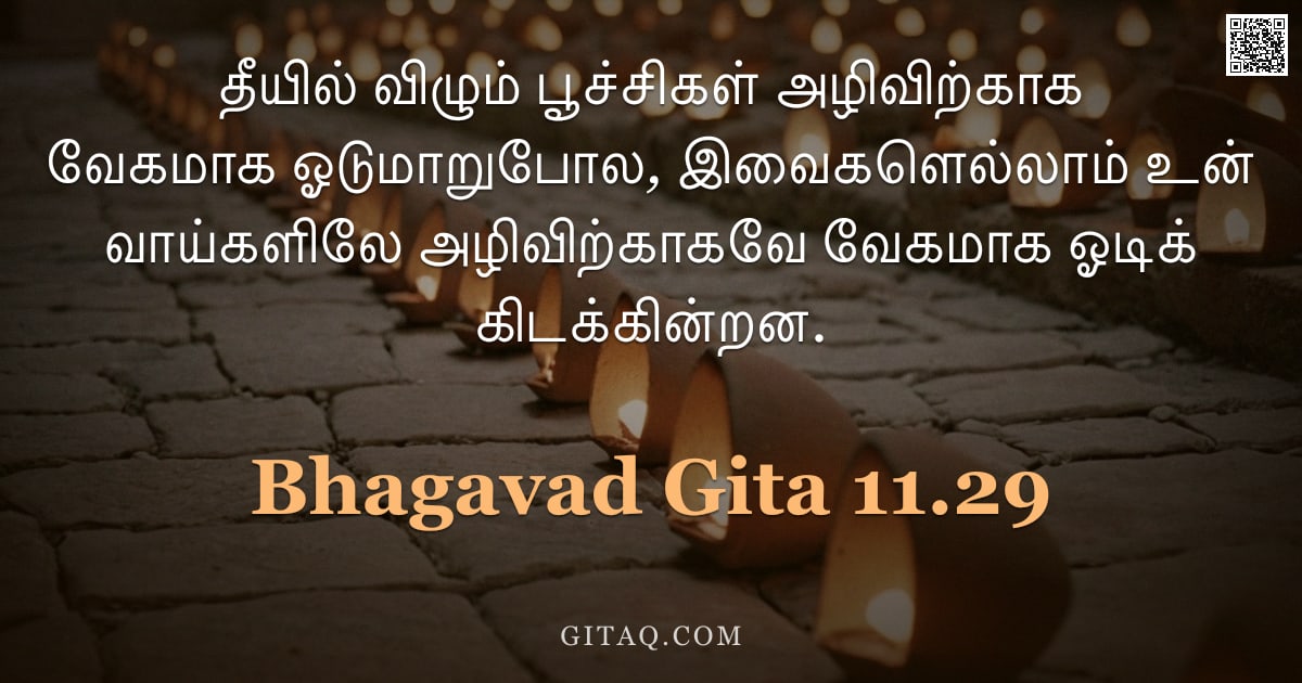 பகவத் கீதை 11.29 — "தீயில் விழும் பூச்சிகள் அழிவிற்காக வேகமாக ஓடுமாறுபோல, இவைகளெல்லாம் உன் வாய்களிலே அழிவிற்காகவே வேகமாக"