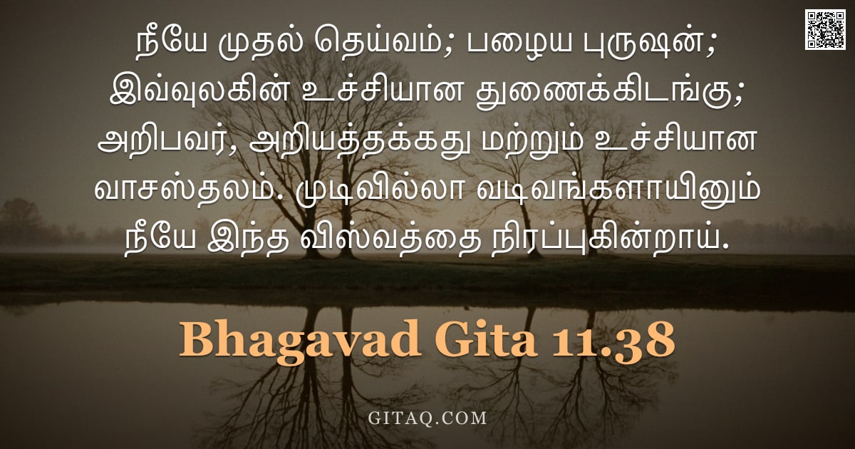 பகவத் கீதை 11.38 — "நீயே முதல் தெய்வம்; பழைய புருஷன்; இவ்வுலகின் உச்சியான துணைக்கிடங்கு; அறிபவர், அறியத்தக்கது மற்றும் உ"