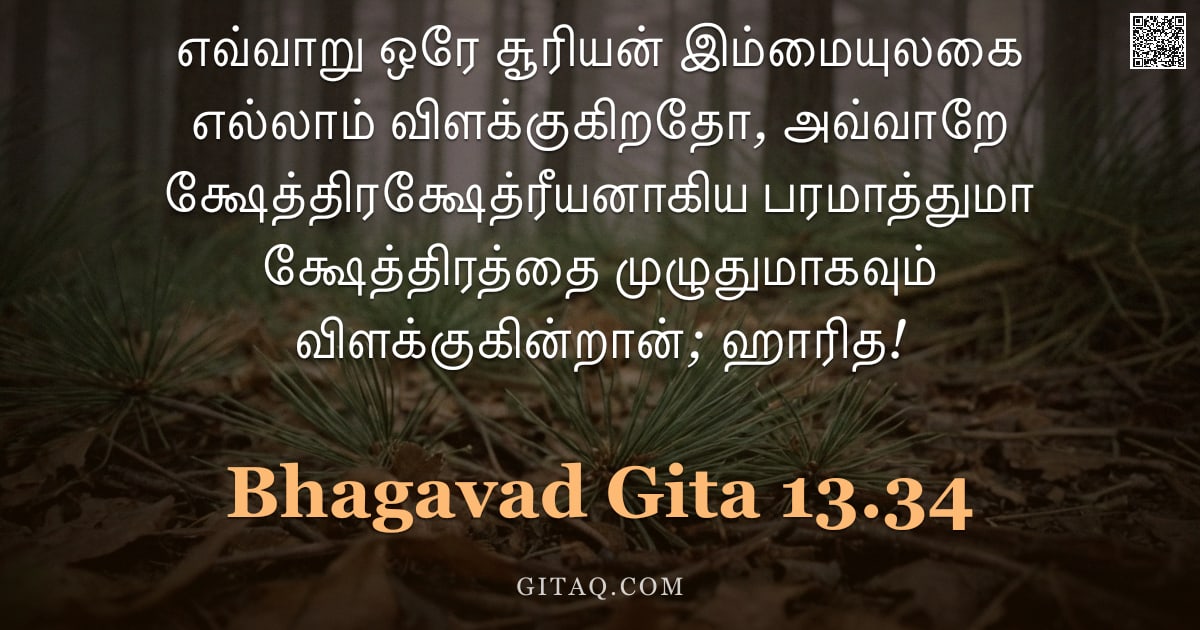 பகவத் கீதை 13.34 — "எவ்வாறு ஒரே சூரியன் இம்மையுலகை எல்லாம் விளக்குகிறதோ, அவ்வாறே க்ஷேத்திரக்ஷேத்ரீயனாகிய பரமாத்துமா க்ஷே"