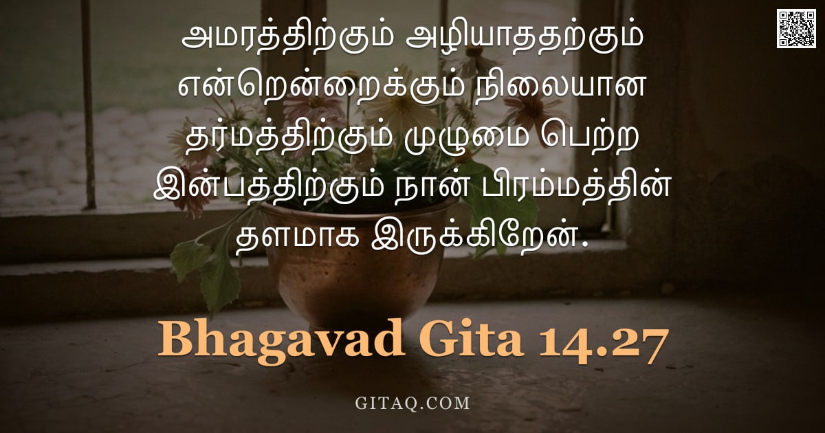 பகவத் கீதை 14.27 — "அமரத்திற்கும் அழியாததற்கும் என்றென்றைக்கும் நிலையான தர்மத்திற்கும் முழுமை பெற்ற இன்பத்திற்கும் நான் "