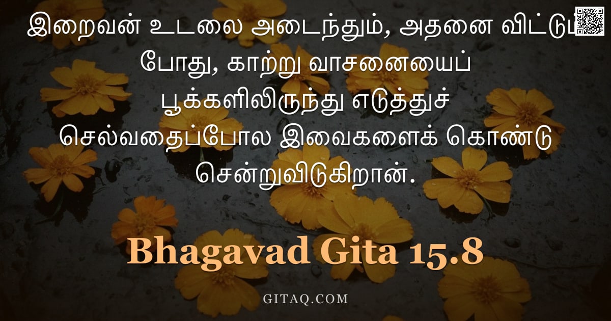 பகவத் கீதை 15.8 — "இறைவன் உடலை அடைந்தும், அதனை விட்டும் போது, காற்று வாசனையைப் பூக்களிலிருந்து எடுத்துச் செல்வதைப்போல இ"