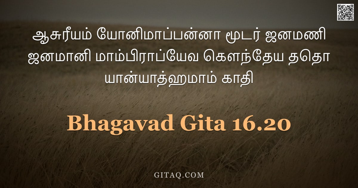 பகவத் கீதை 16.20 — "ஆசுரீயம் யோனிமாப்பன்னா மூடர் ஜனமணி ஜனமானி மாம்பிராப்யேவ கௌந்தேய ததொ யான்யாத்ஹமாம் காதி"