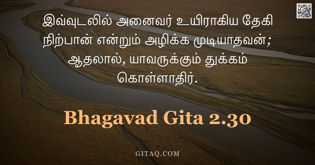 பகவத் கீதை 2.30 — "இவ்வுடலில் அனைவர் உயிராகிய தேகி நிற்பான் என்றும் அழிக்க முடியாதவன்; ஆதலால், யாவருக்கும் துக்கம் கொள்"