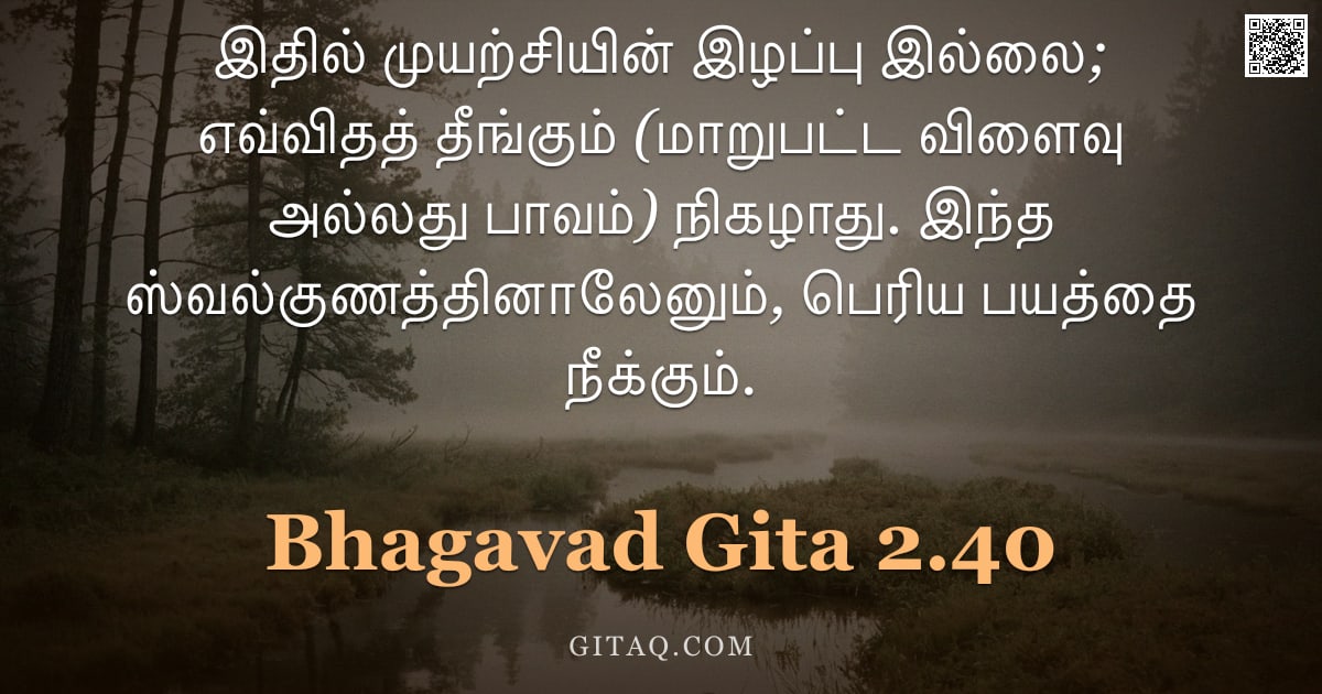 பகவத் கீதை 2.40 — "இதில் முயற்சியின் இழப்பு இல்லை; எவ்விதத் தீங்கும் (மாறுபட்ட விளைவு அல்லது பாவம்) நிகழாது. இந்த ஸ்வல்"