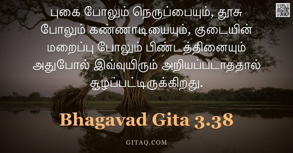 பகவத் கீதை 3.38 — "புகை போலும் நெருப்பையும், தூசு போலும் கண்ணாடியையும், குடையின் மறைப்பு போலும் பிண்டத்தினையும் அதுபோல்"