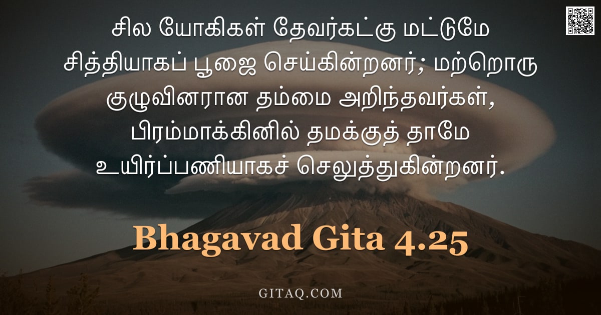 பகவத் கீதை 4.25 — "சில யோகிகள் தேவர்கட்கு மட்டுமே சித்தியாகப் பூஜை செய்கின்றனர்; மற்றொரு குழுவினரான தம்மை அறிந்தவர்கள்,"