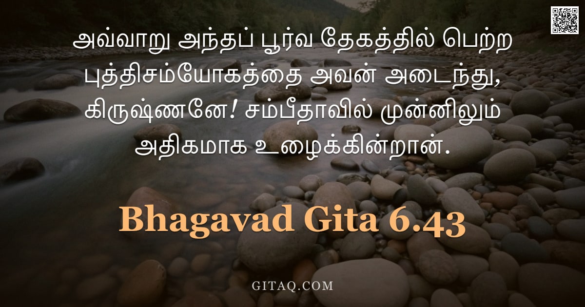 பகவத் கீதை 6.43 — "அவ்வாறு அந்தப் பூர்வ தேகத்தில் பெற்ற புத்திசம்யோகத்தை அவன் அடைந்து, கிருஷ்ணனே! சம்பீதாவில் முன்னிலும"