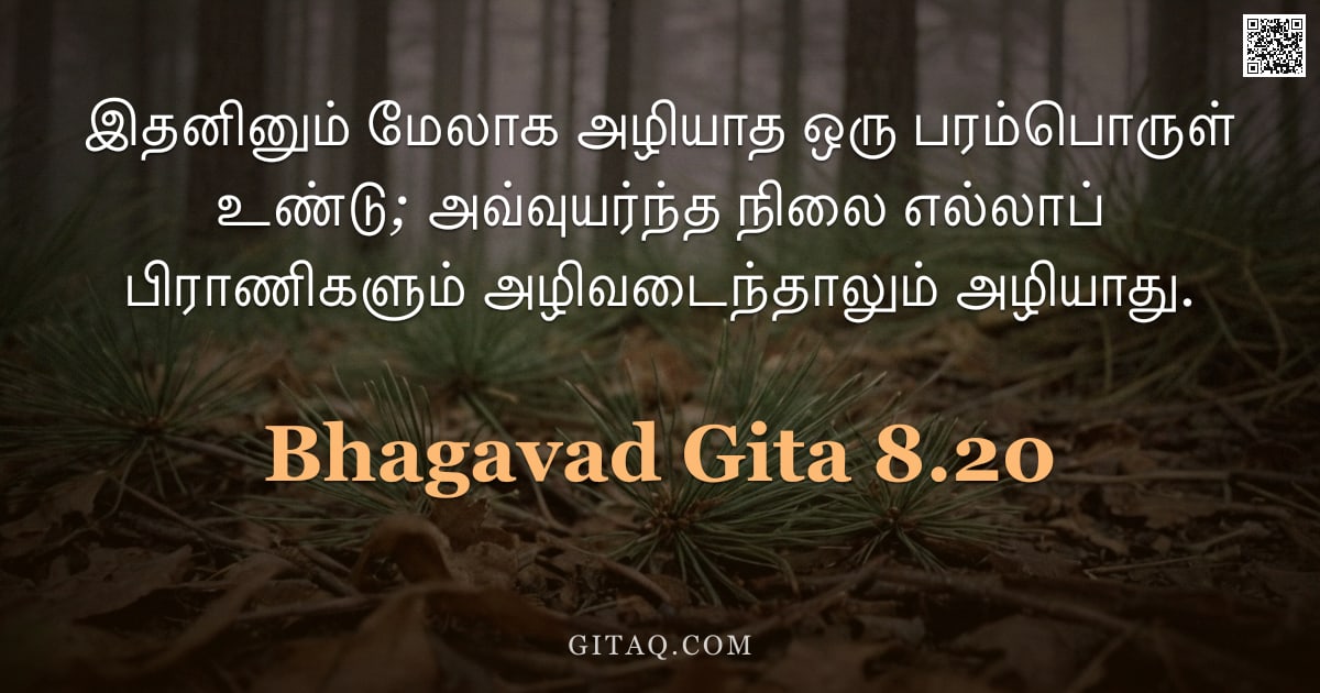 பகவத் கீதை 8.20 — "இதனினும் மேலாக அழியாத ஒரு பரம்பொருள் உண்டு; அவ்வுயர்ந்த நிலை எல்லாப் பிராணிகளும் அழிவடைந்தாலும் அழிய"